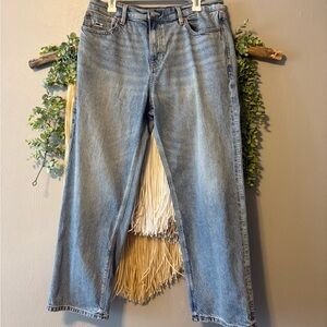 American Eagle Outfitters Light Blue Ex-Boyfriend Leg Jeans